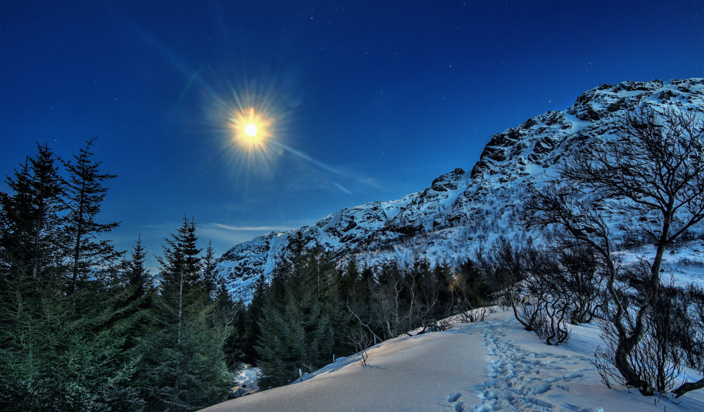 Солнце над заснеженными горами и лесом,  Лофотенские острова. Норвегия