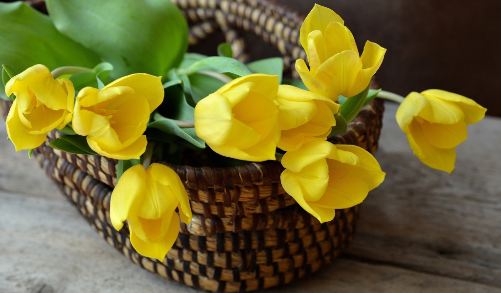 Букет желтых тюльпанов в корзине