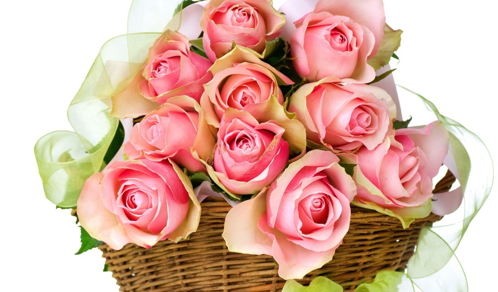 Букет розовых роз в корзине с лентой на белом фоне