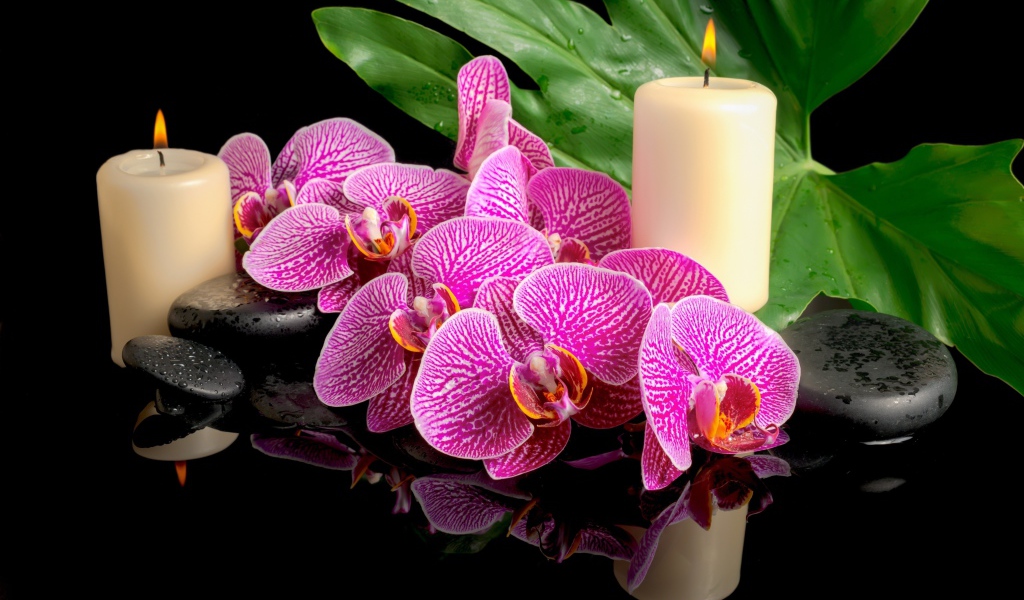 Розовые орхидеи с черными камнями и зажженными свечами