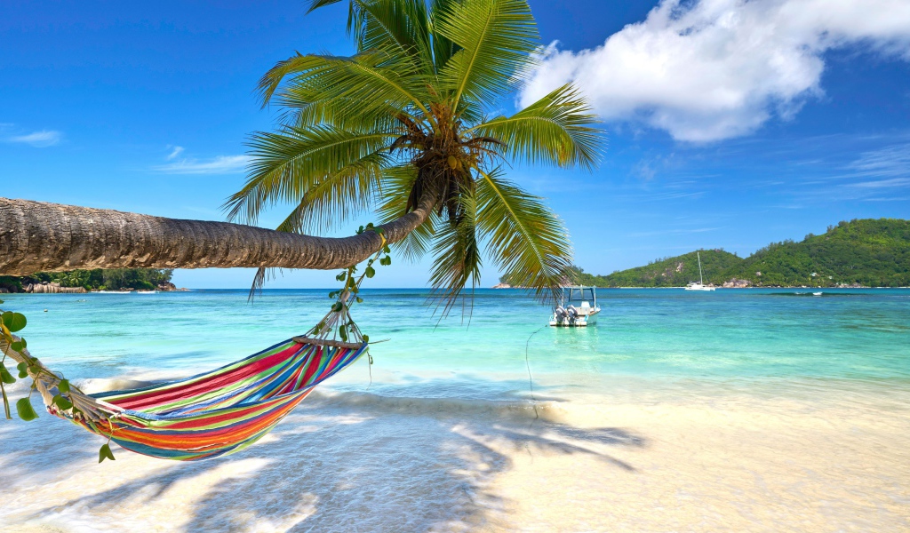 Разноцветный гамак висит на пальме на тропическом пляже 
