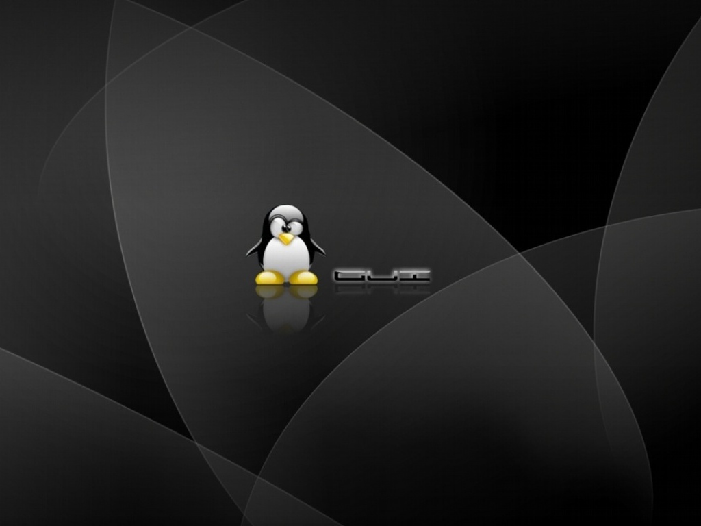 Linux Black picture