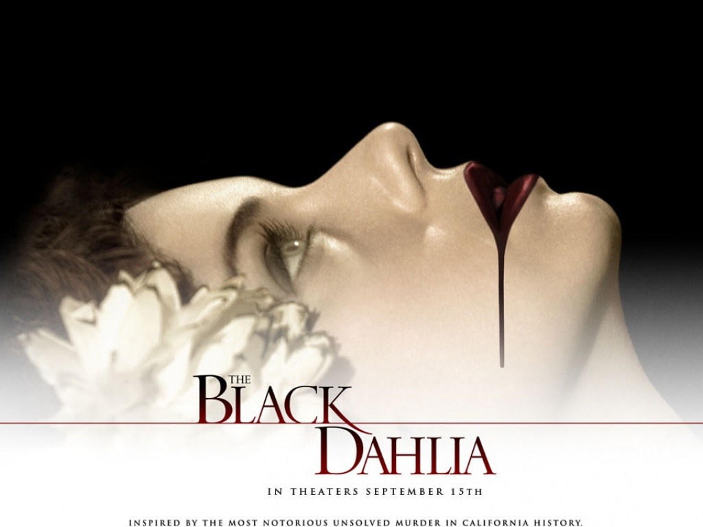 Черный Георгин /  Black Dahlia