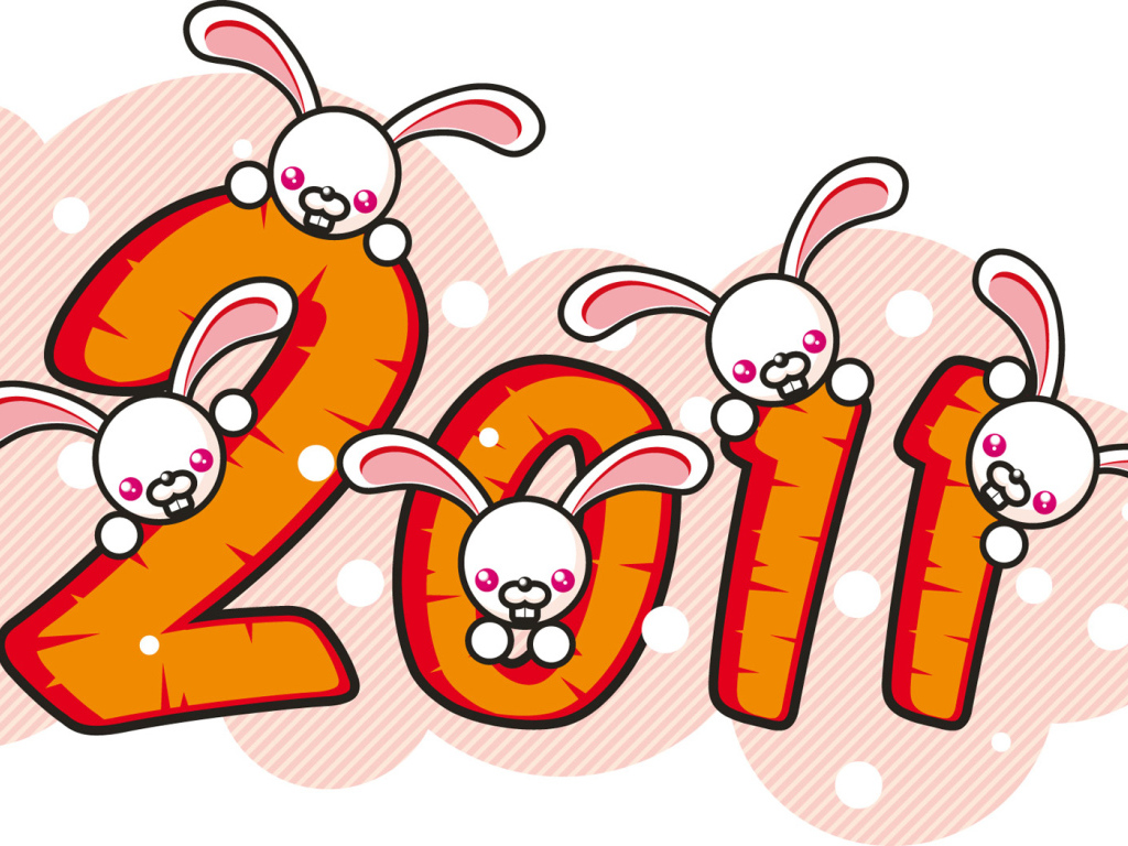 2011 year Rabbit