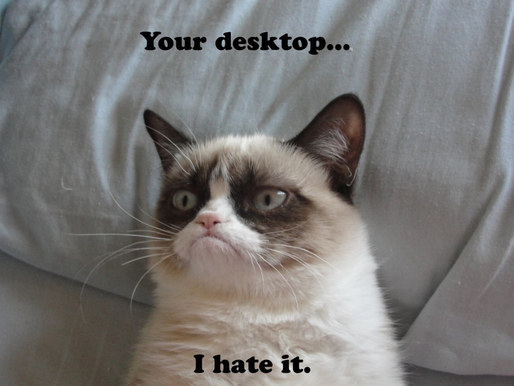 Недовольный кот на десктопе