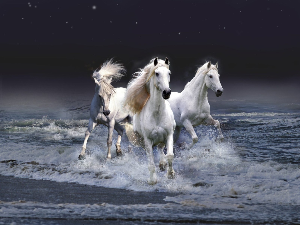 Тройка белых лошадей