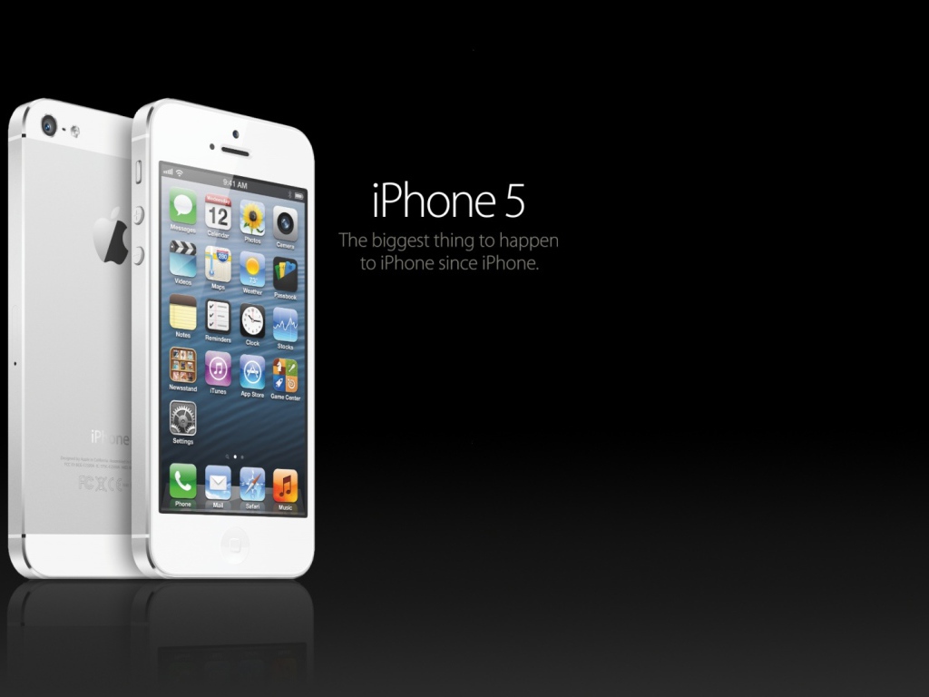 Iphone 5S белый в черном