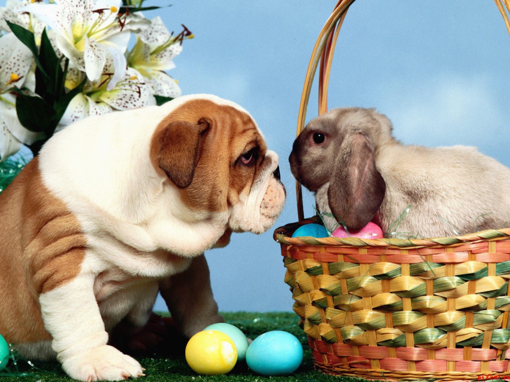 Dog and rabbit for Easter