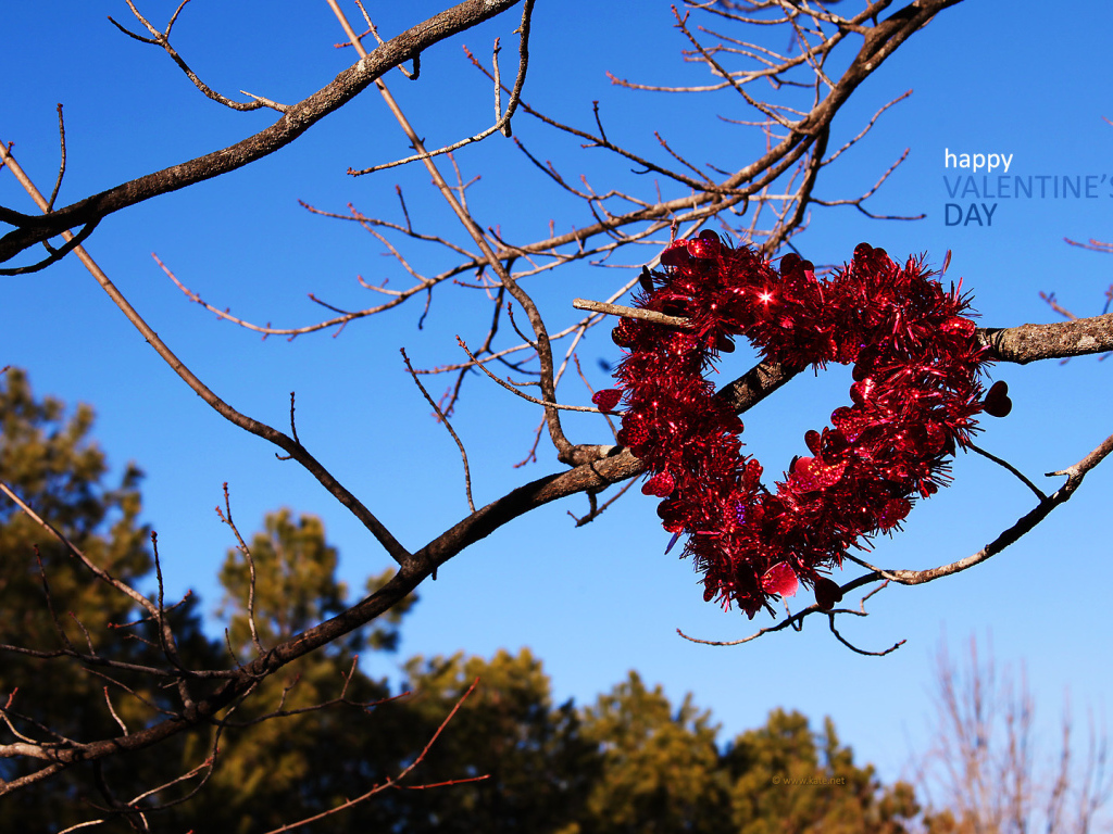 Heart on the branches on Valentine's Day February 14