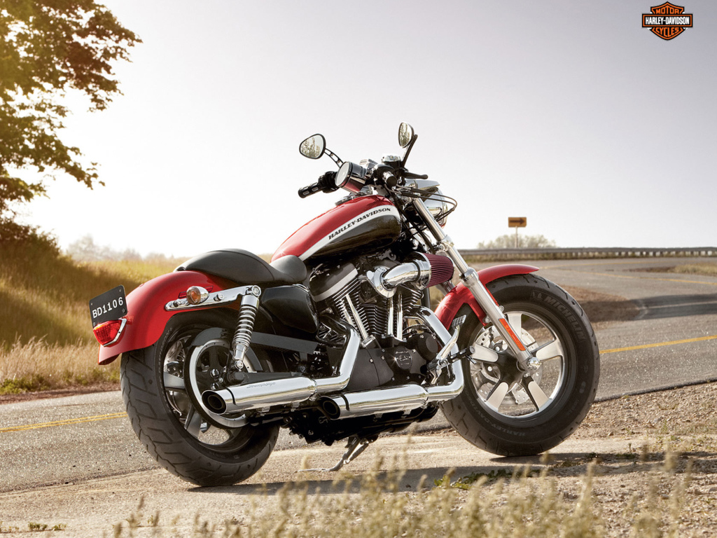 Красивый мотоцикл в москве Harley-Davidson XL 1200C Sportster Custom
