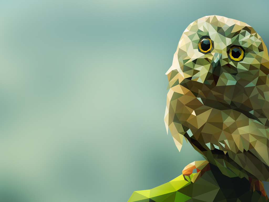 Owl on a rock, 3D graphics