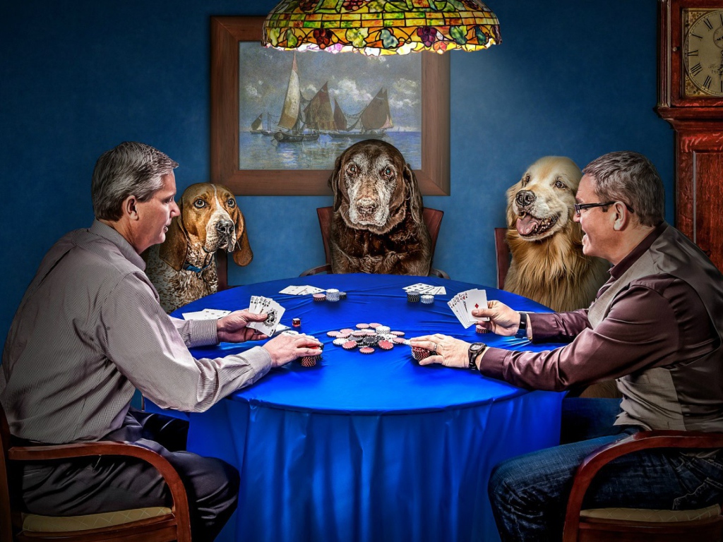 Playing poker with dogs