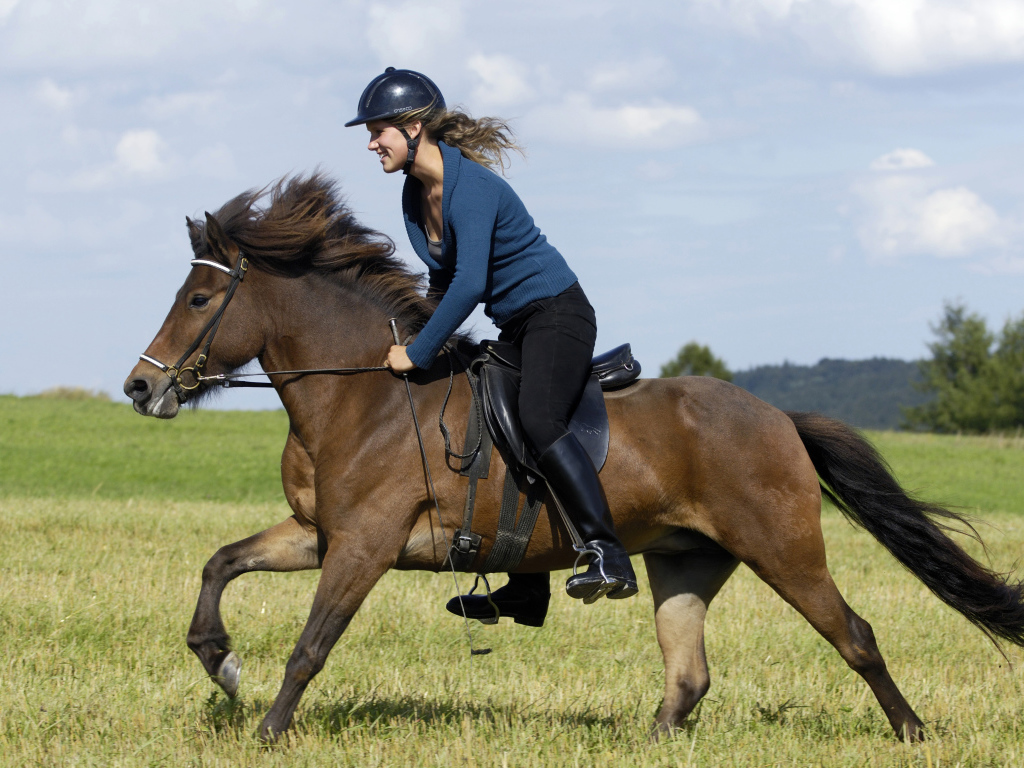 Young girl in helmet jumps on brown horse