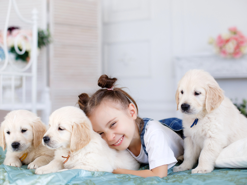 Маленькая улыбающаяся девочка лежит со щенками ретривера