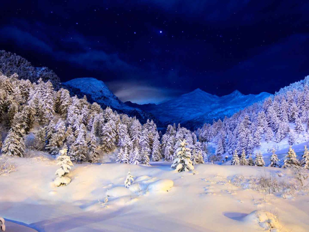 Зимняя ночь в заснеженном лесу 