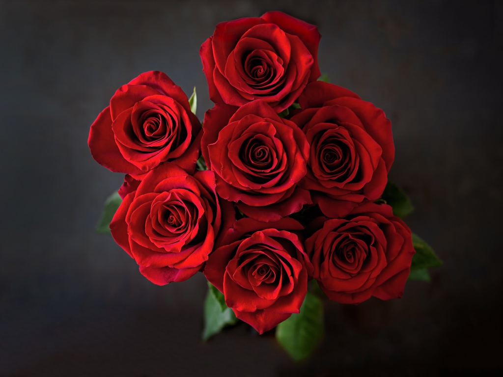 Букет красных роз на сером фоне вид сверху
