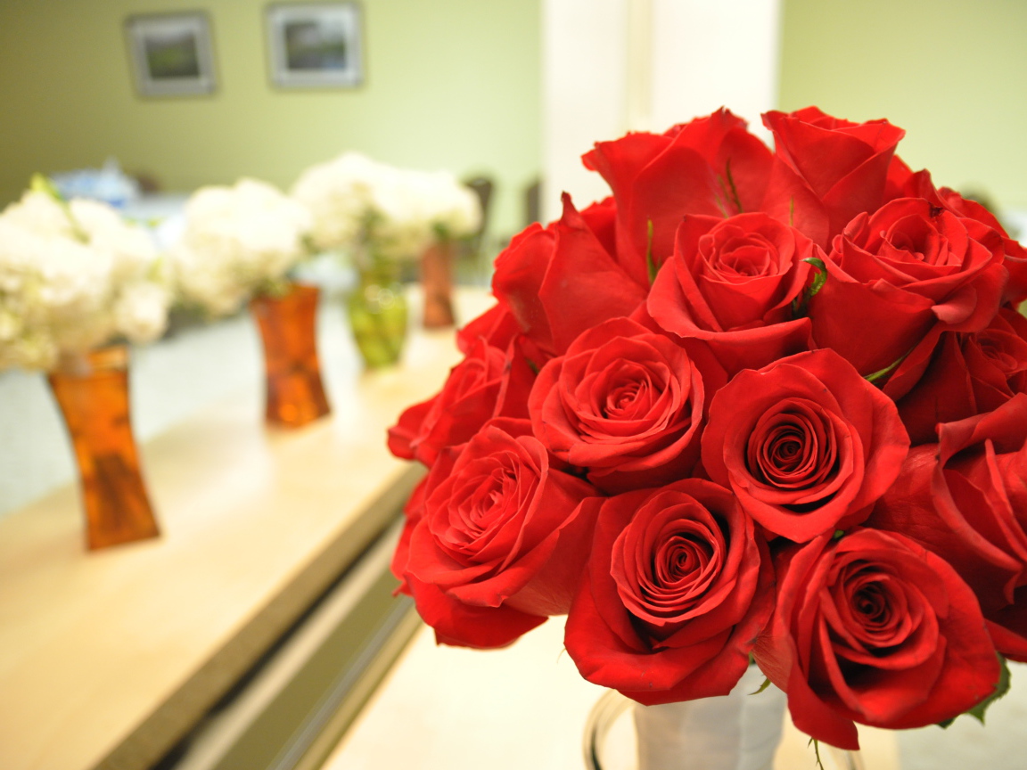 Прекрасные красные розы на 8 марта