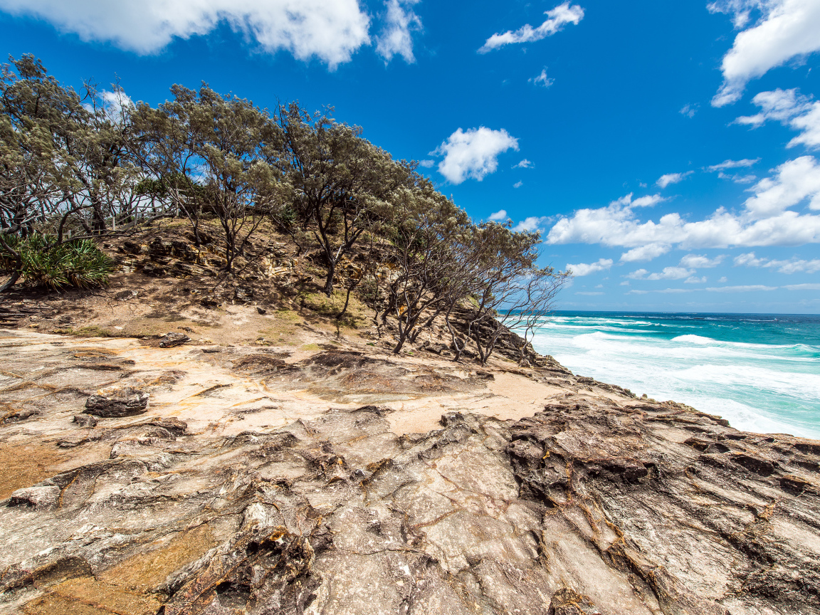 Остров Норт-Страдброк, Квинсленд, Австралия