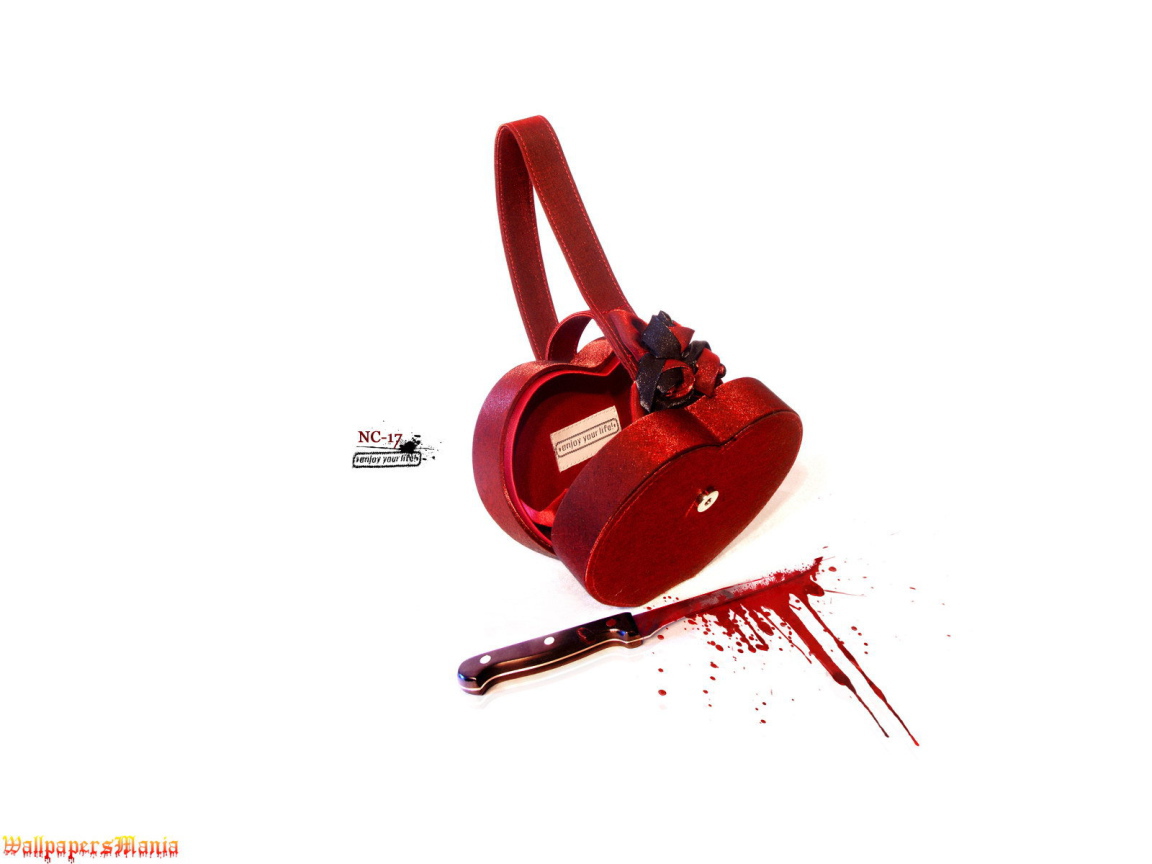 The bag and the knife in the blood