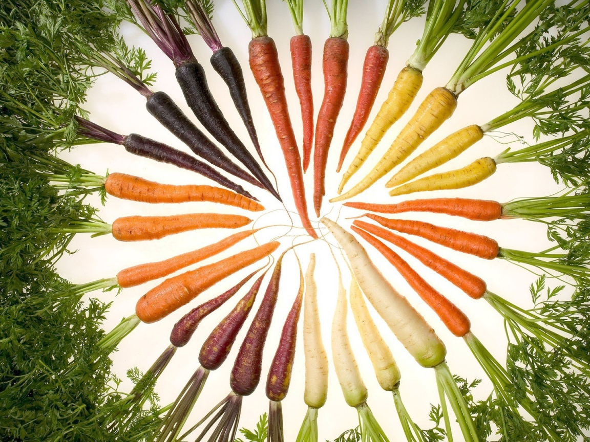Set of different colors carrots