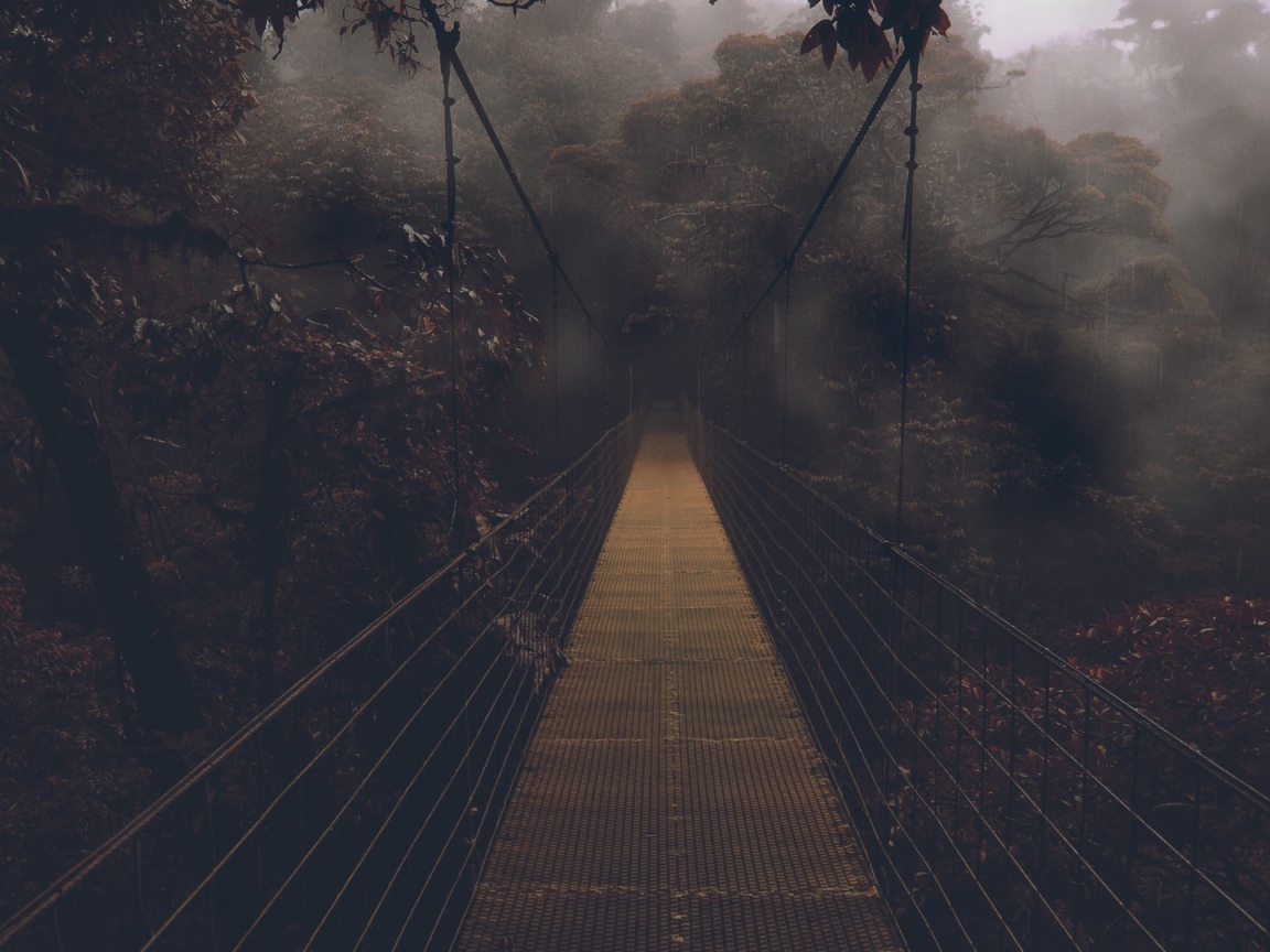 Мост в мрачный лес