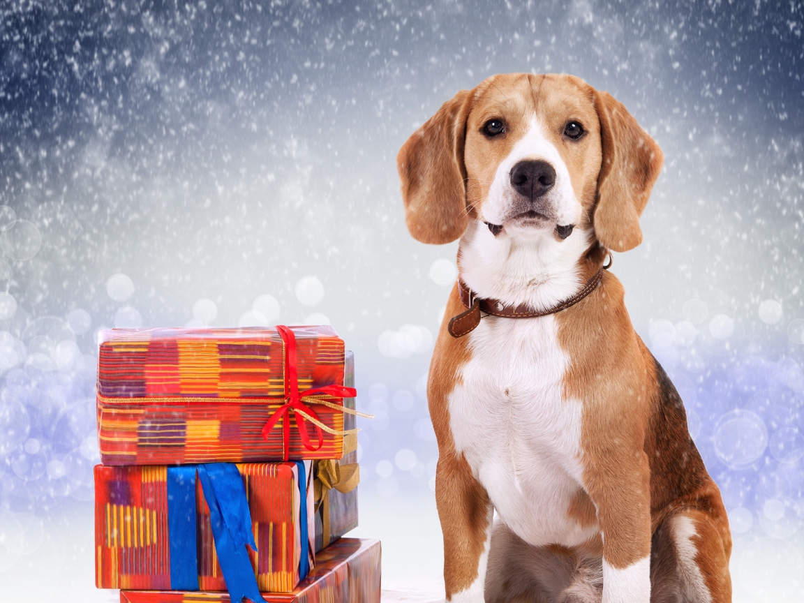Собака символ нового года 2018 с подарками