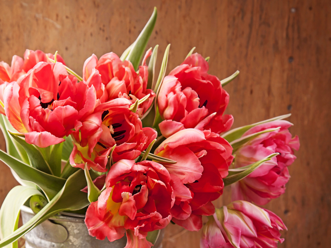 Розовые тюльпаны крупным планом в вазе
