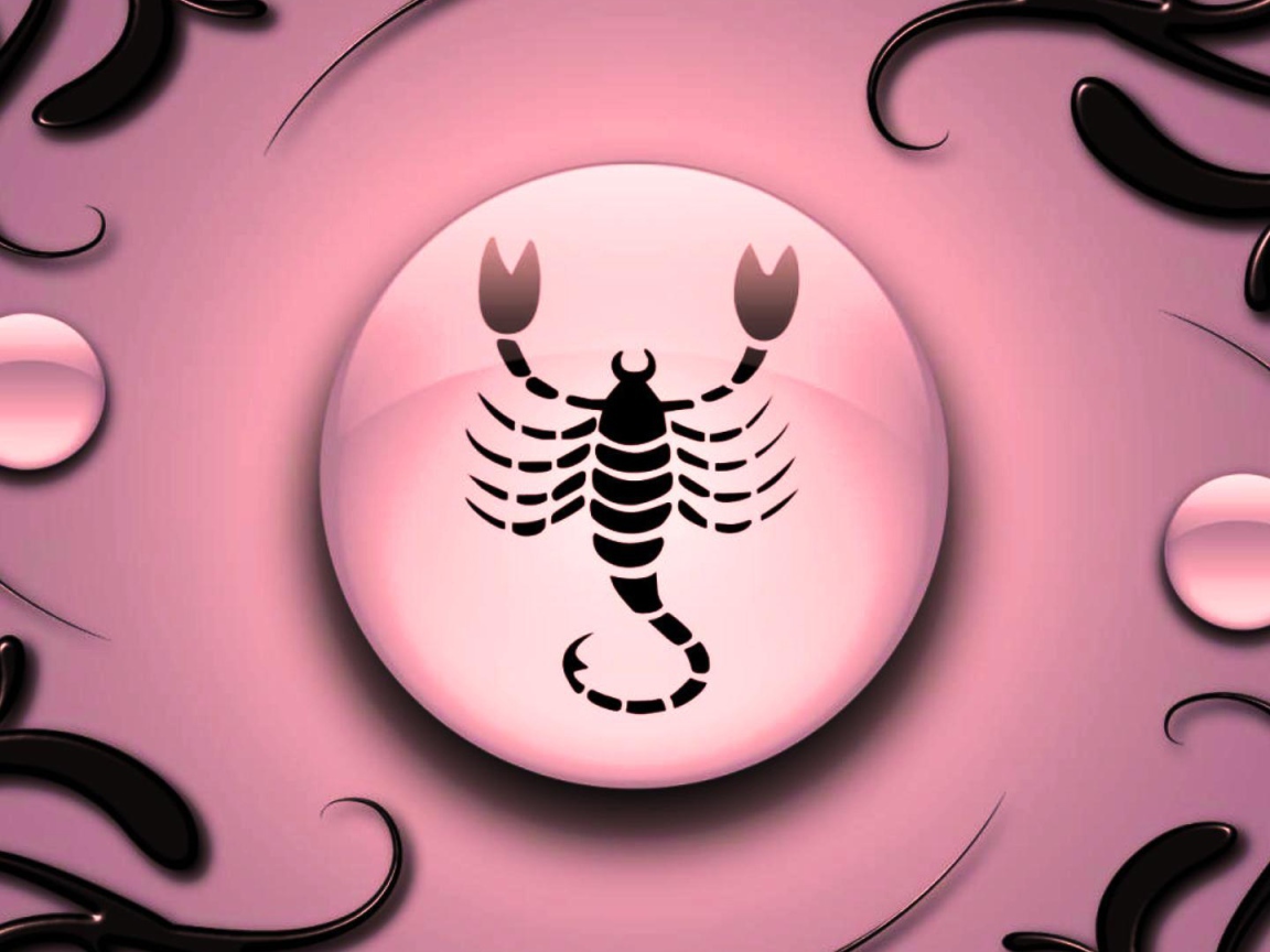 Знак зодиака Скорпион на  розовом фоне с чёрным орнаментом 
