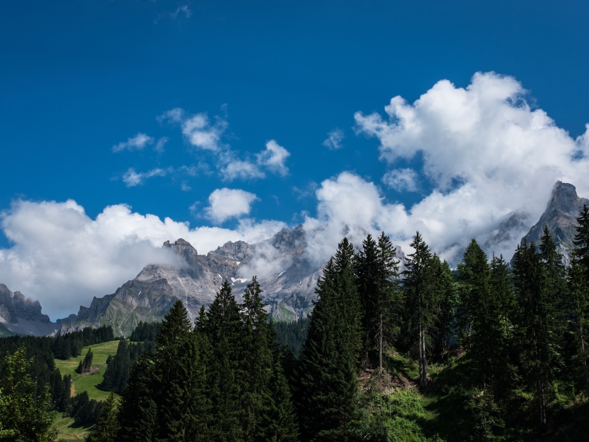 Mountains near a green forest under white clouds in a blue sky