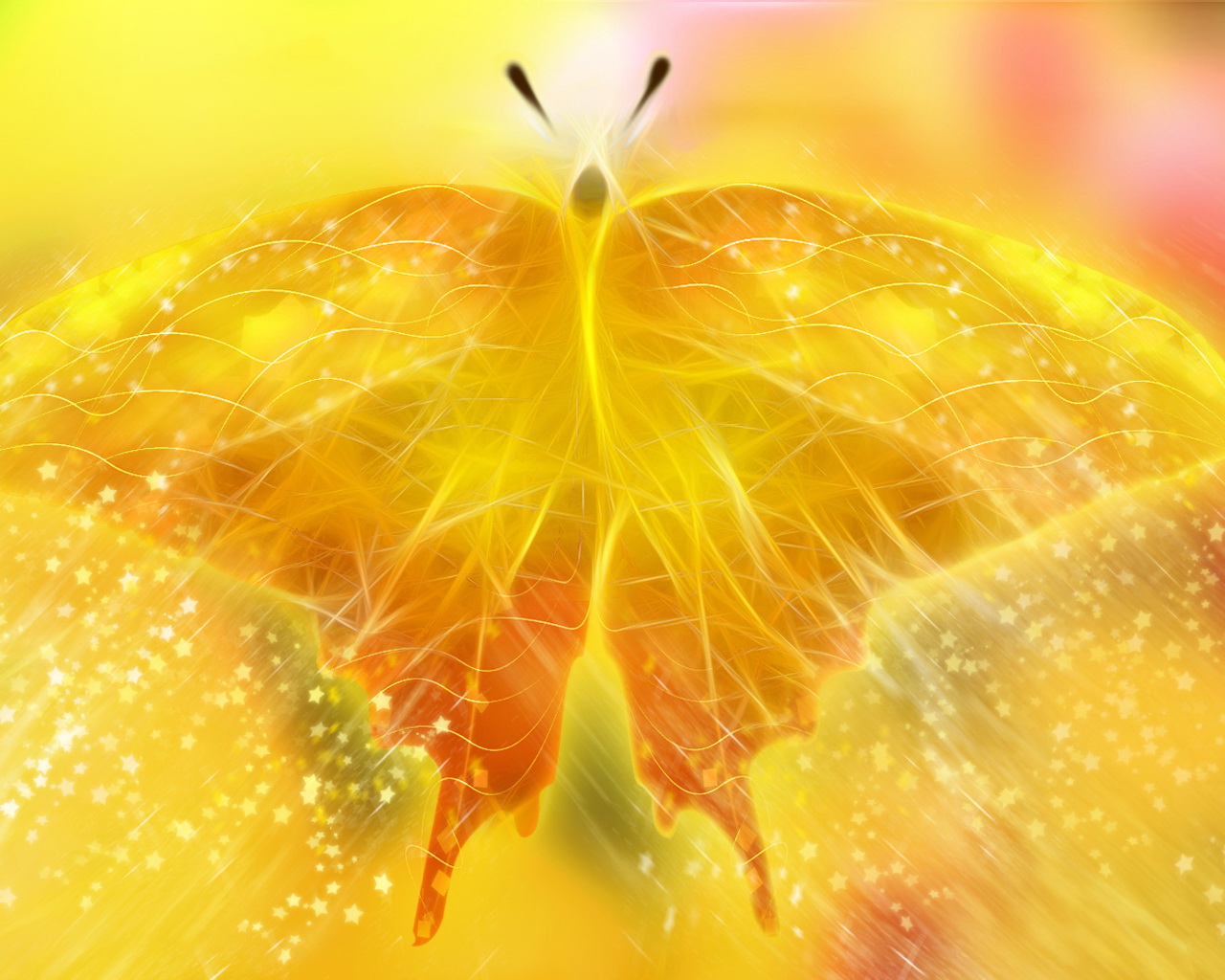 Previous, 3D-graphics - Yellow butterfly wallpaper