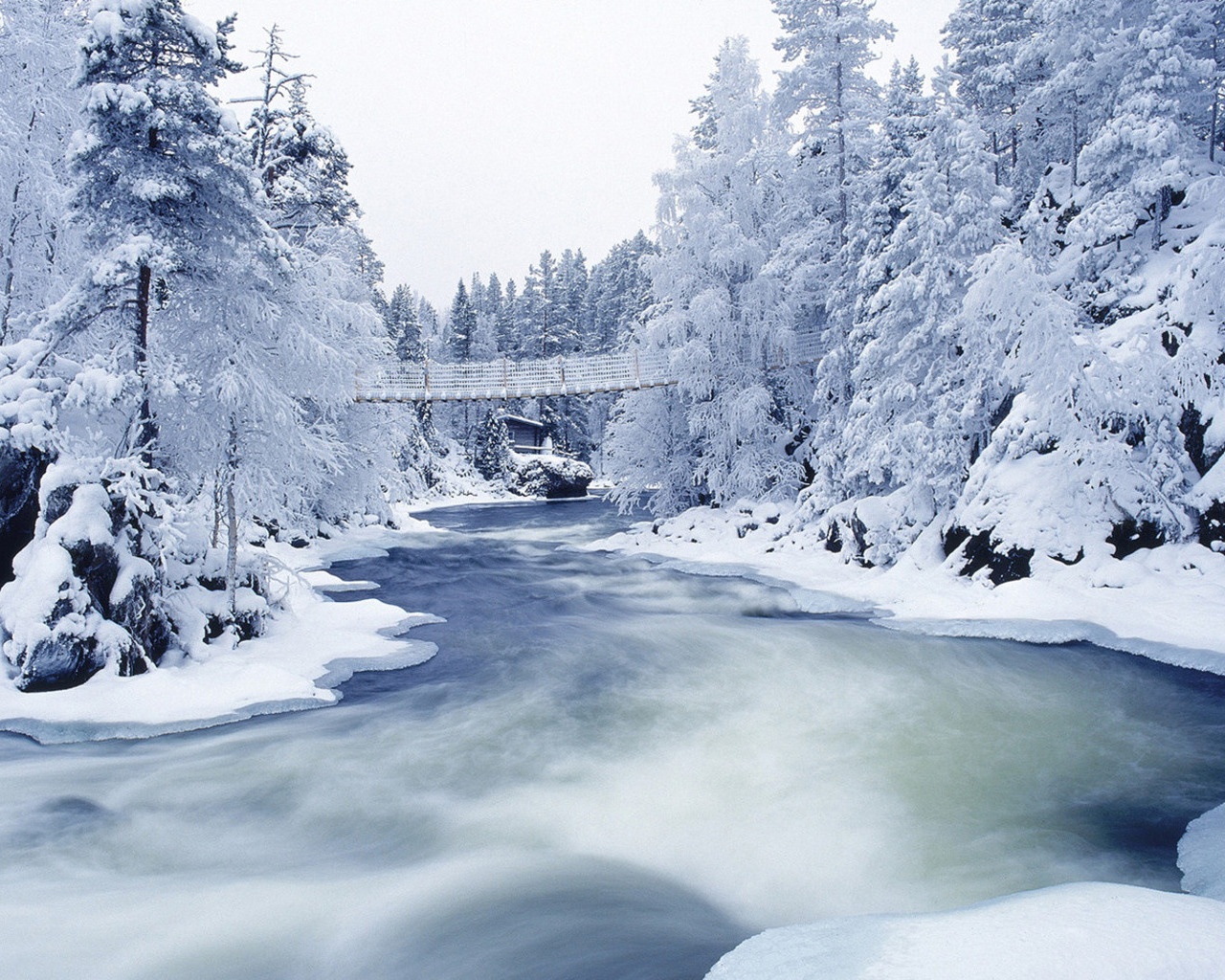 http://www.zastavki.com/pictures/1280x1024/2010/Winter_wallpapers_Winter_Forest_019431_.jpg