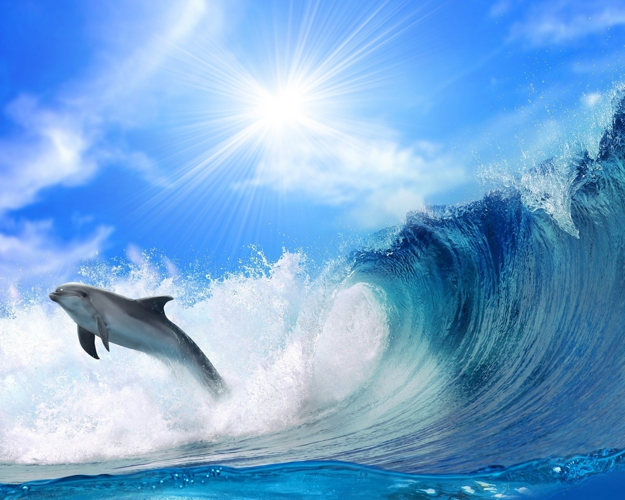 Дельфин перед волной