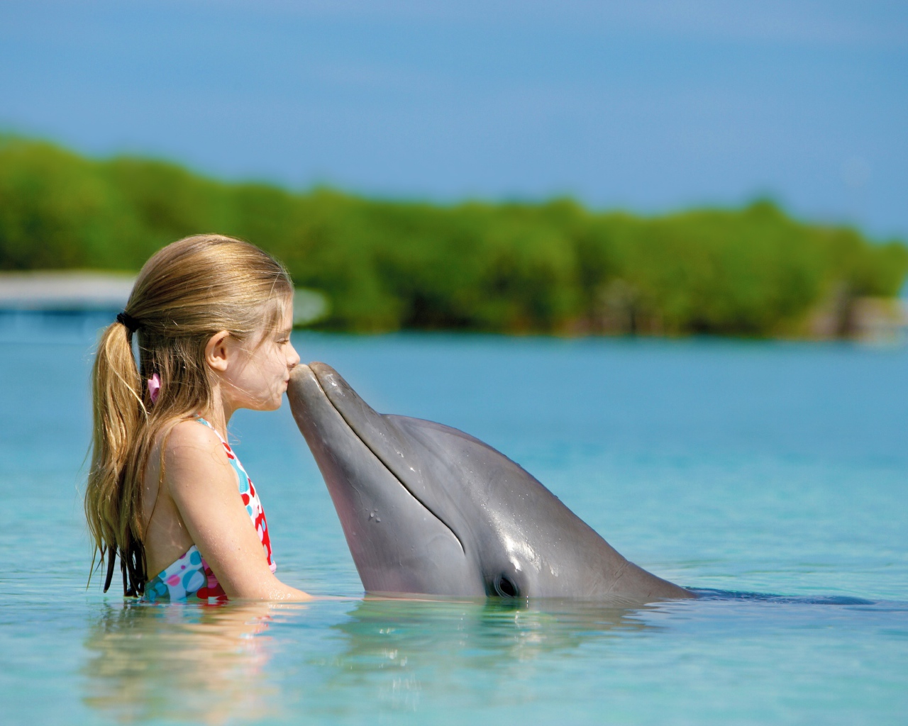 Девочка и дельфин