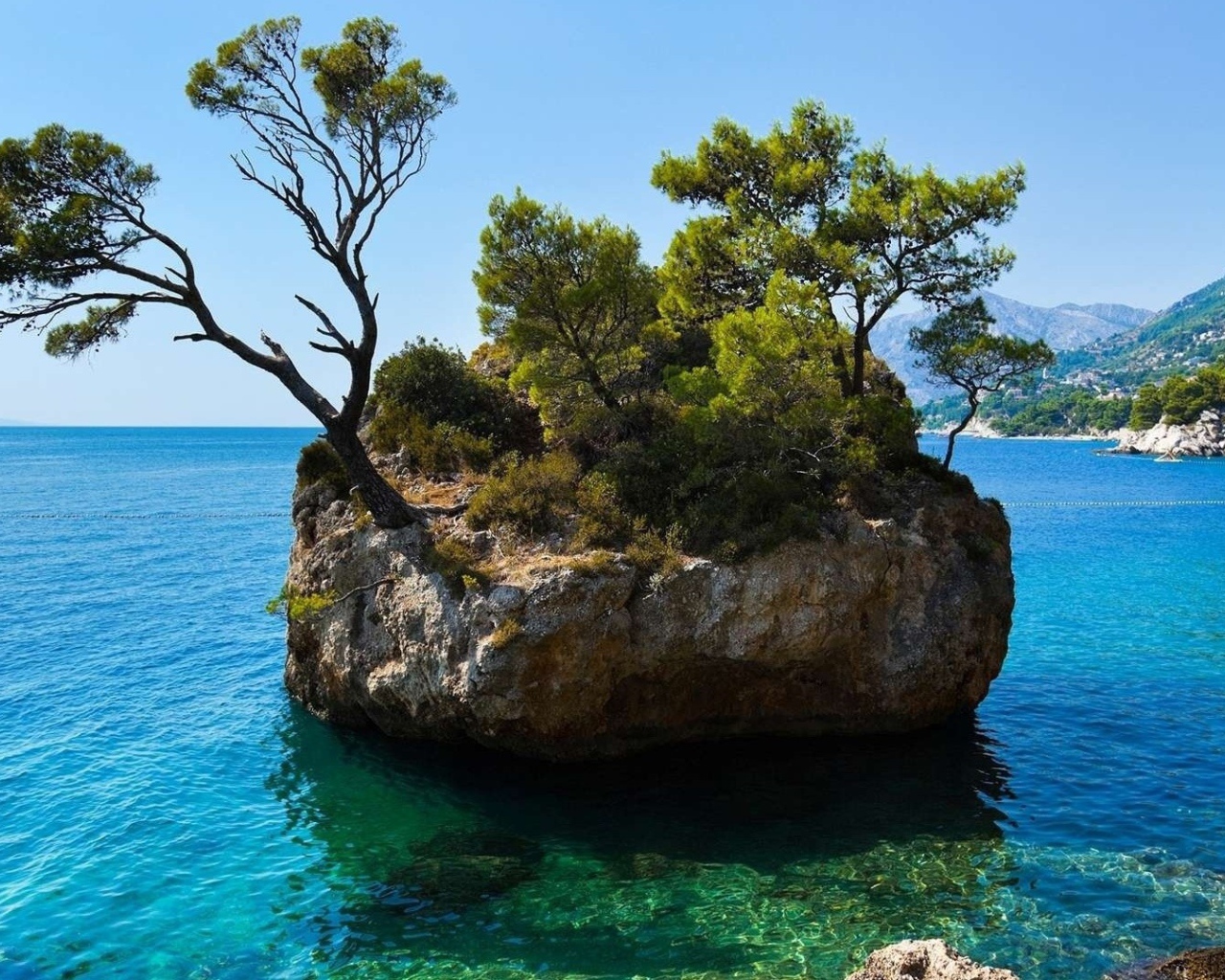 Каменный остров с деревьями