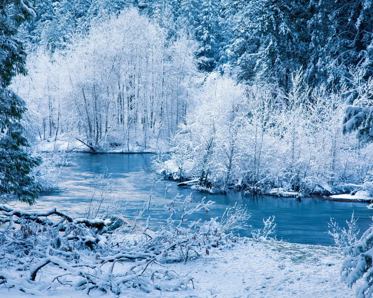 Вечерний зимний лес