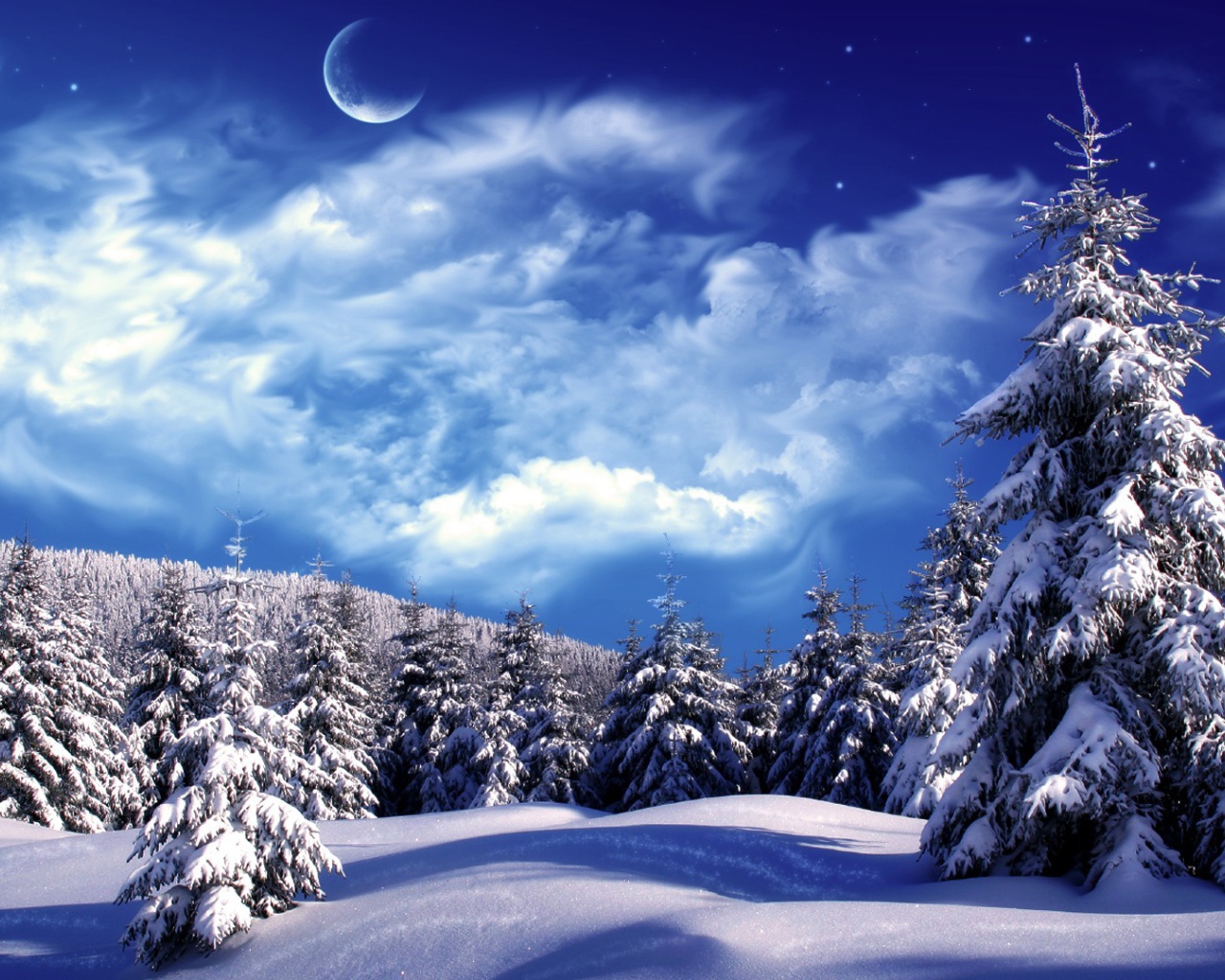 Зимний лес под лунным светом