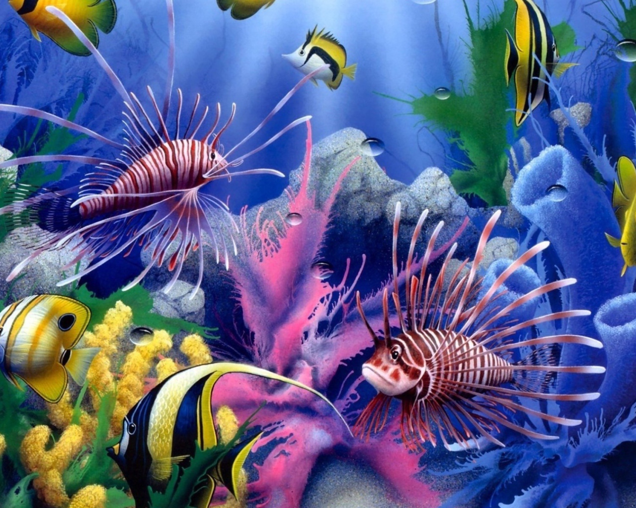 Красота подводной жизни