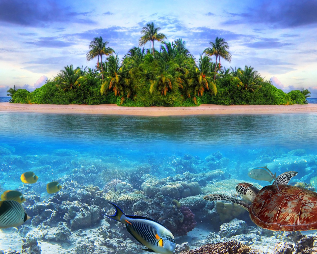 Подводный мир на острове
