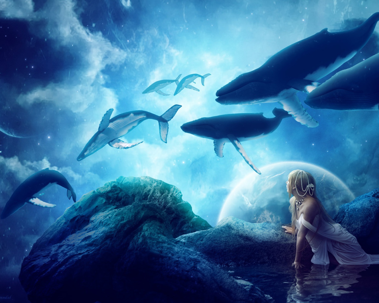 Мечты китов 
