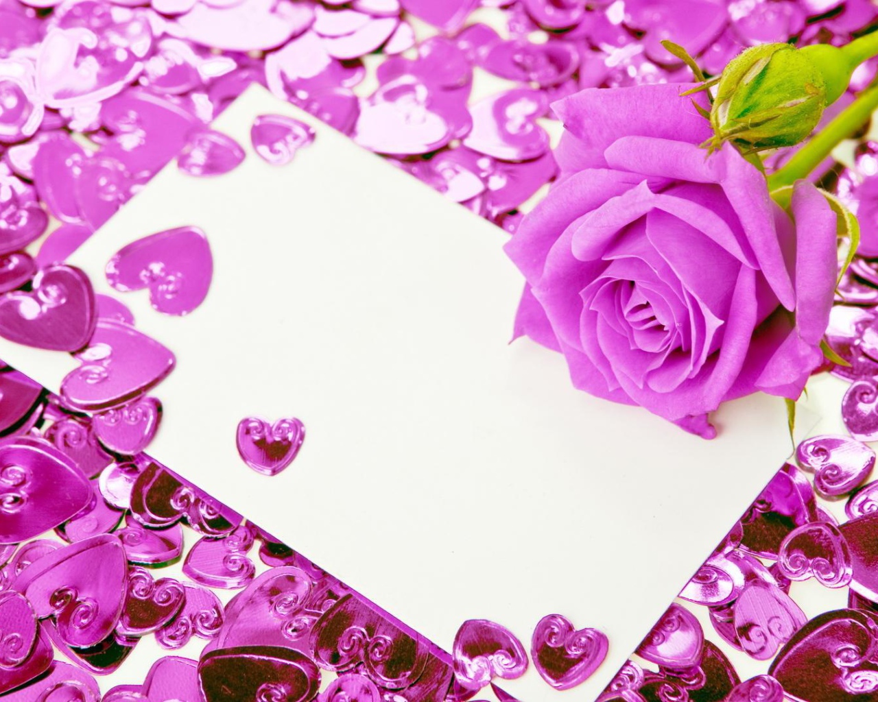 Фиолетовая роза и сердечки