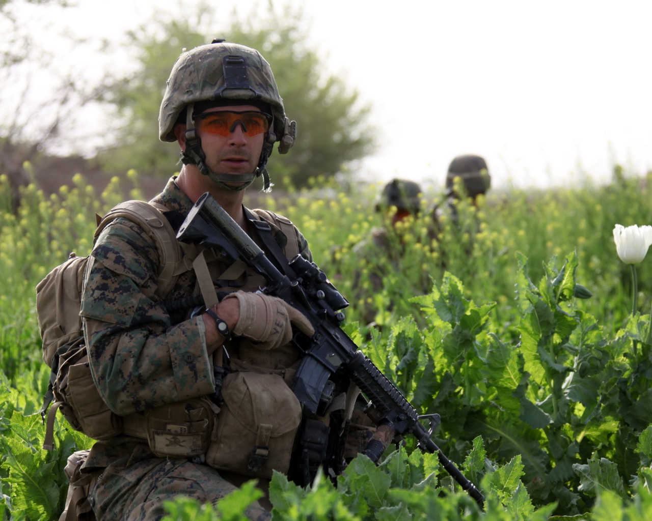 Солдат с винтовкой в траве