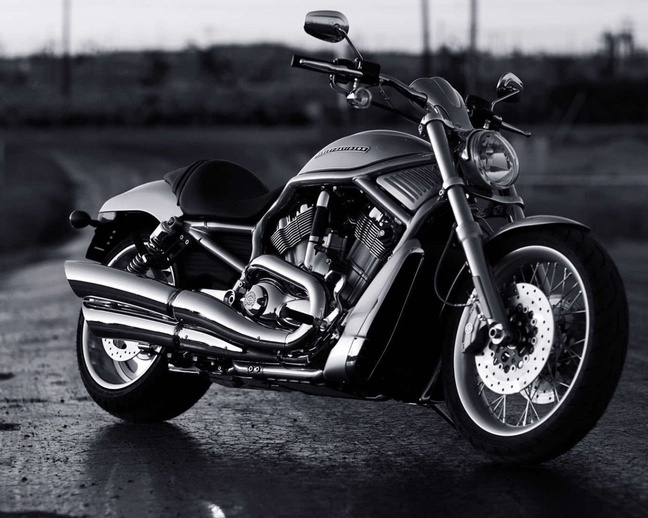 Новый надежный мотоцикл Harley-Davidson V-Rod Muscle