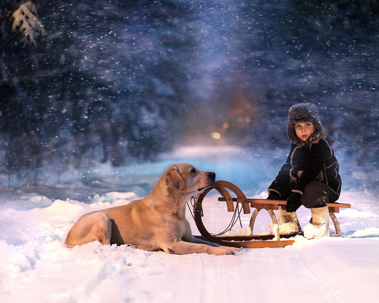 A dog and a child on a sledge
