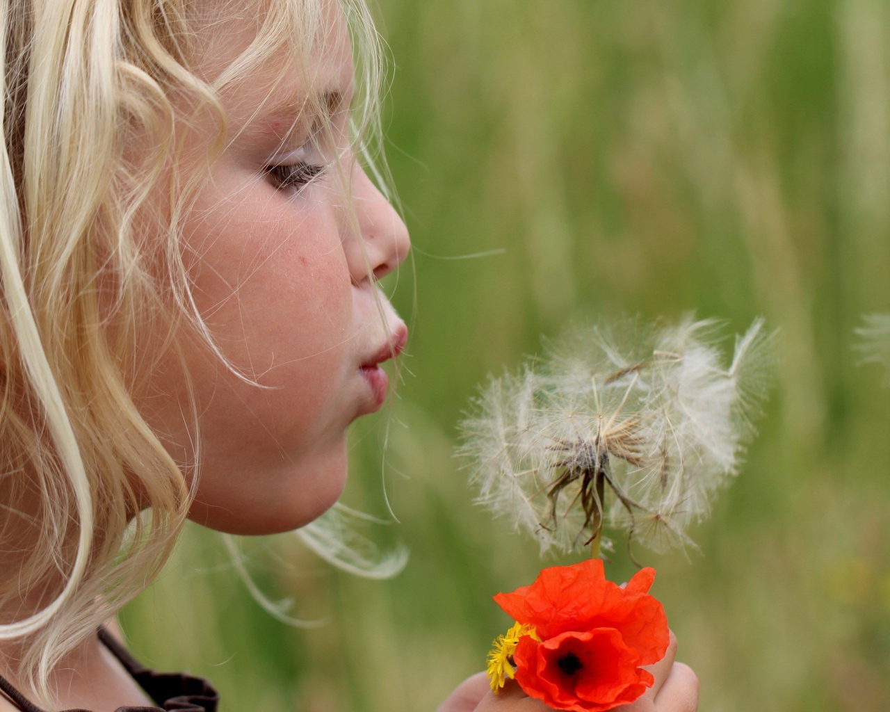 Девочка дует на цветок одуванчик