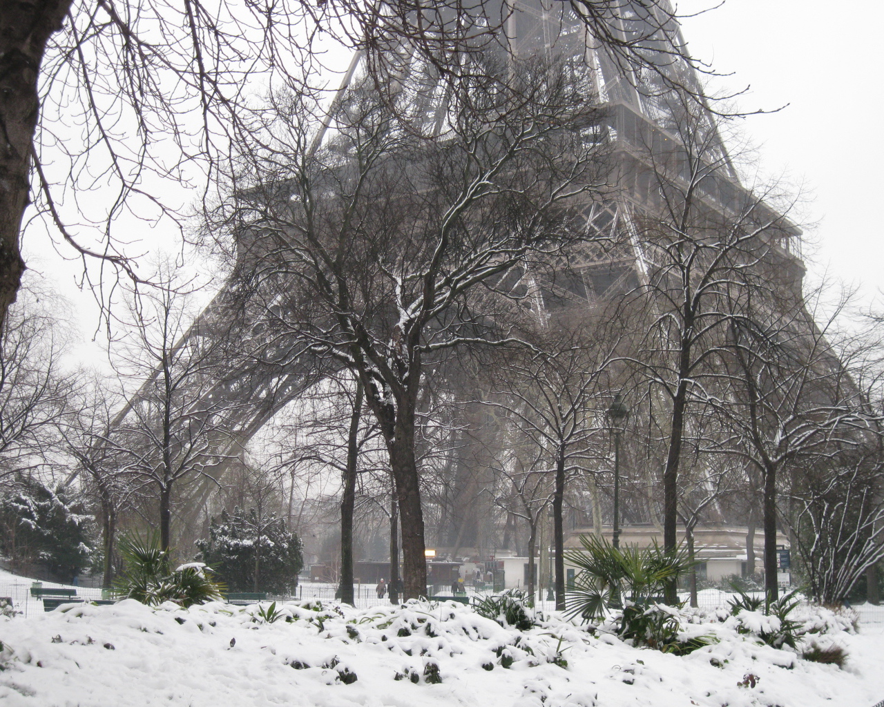 Снег в Париже елки вокруг Эйфелевой башни