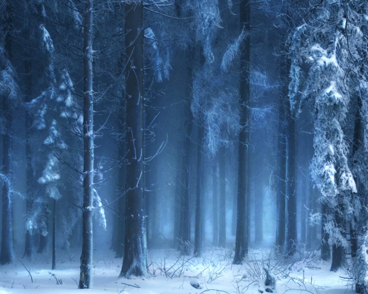 Зимний лес в тумане
