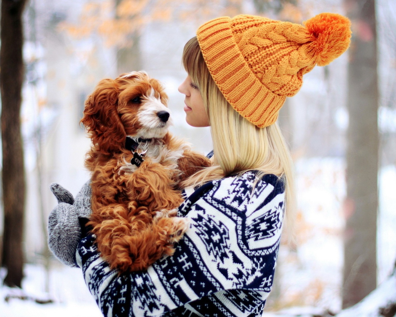 Девушка в свитере с рыжей собакой