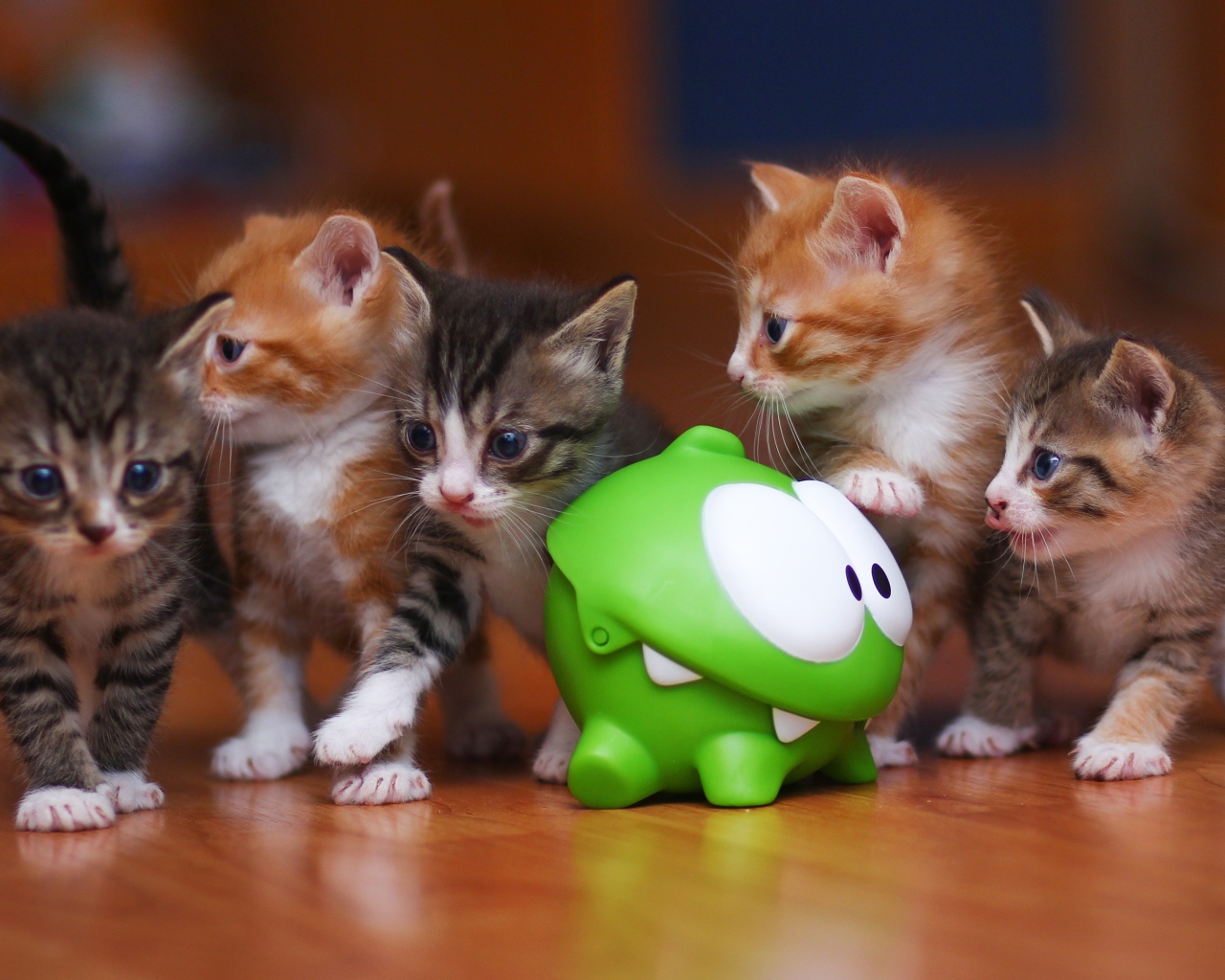 Пять котят с игрушкой