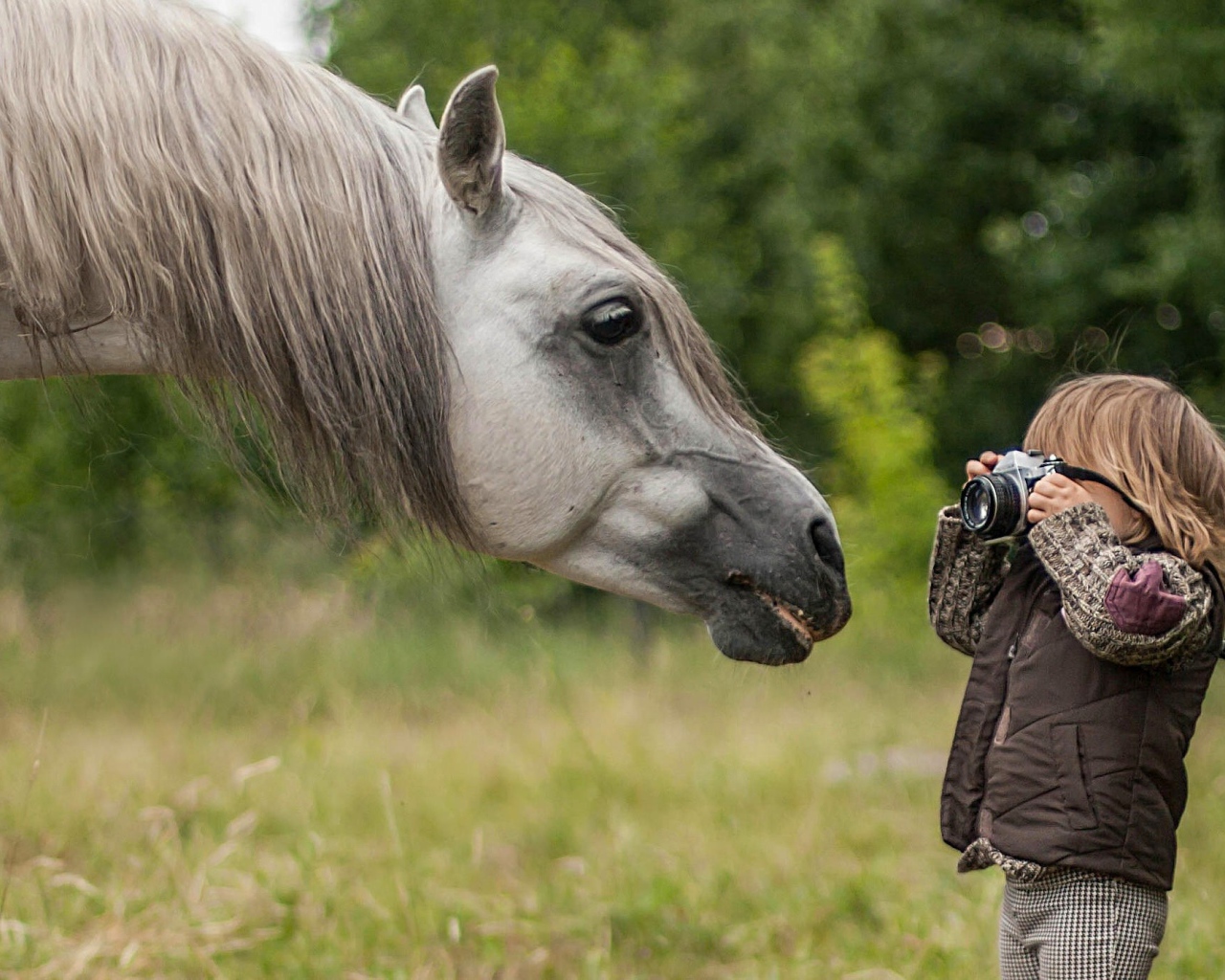 Мальчик фотографирует лошадь