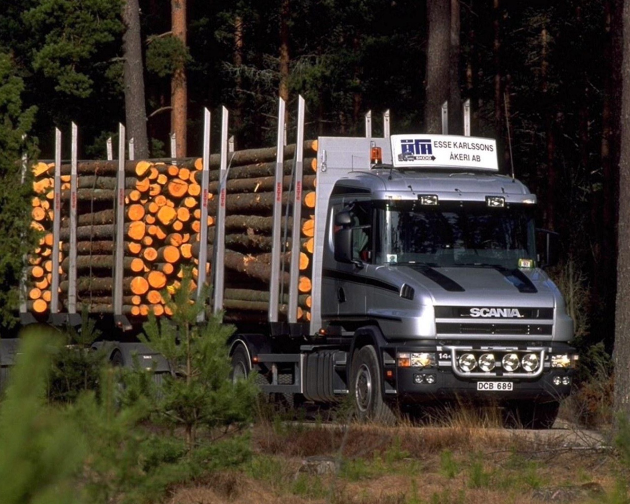 Тягач Scania везет лес